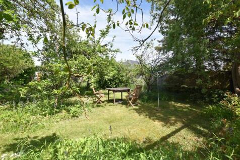 Rear Garden ii.jpg