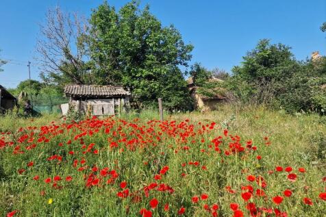 Property Image 29
