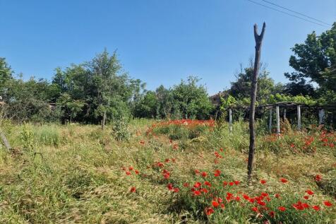 Property Image 36