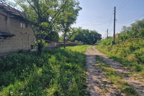 Property Image 41