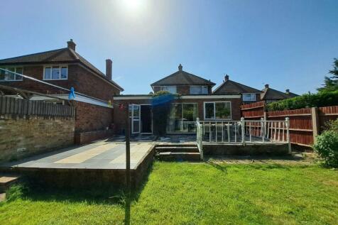backgarden.3.jpeg