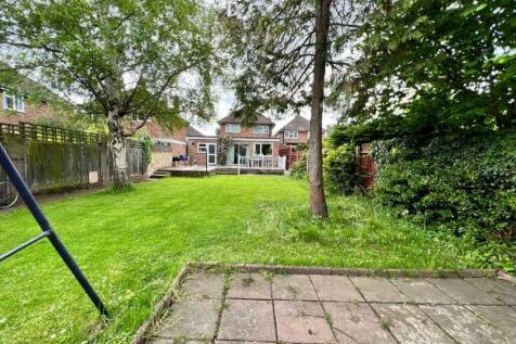 backgarden.2.jpeg