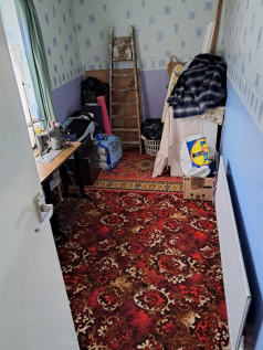 Untitled design (2).png