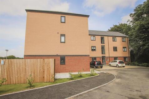 Apt 31 Farrier close.jpg