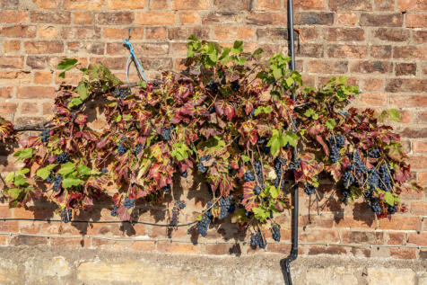 1371600-14-68f8f1...