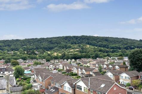 New view 5.jpg