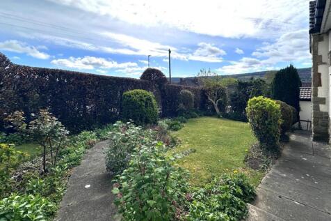 Garden 2.jpg