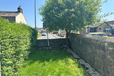 Front garden.jpg