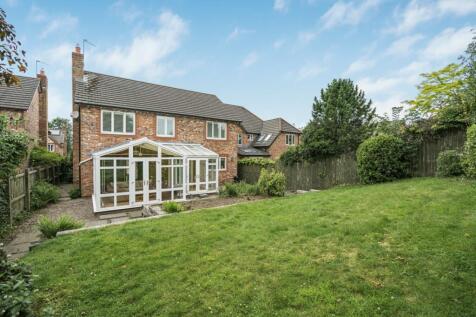 Property Image 41