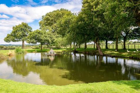 Pond 1