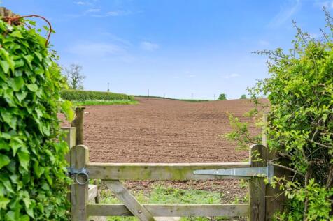 DSC_2617.jpg
