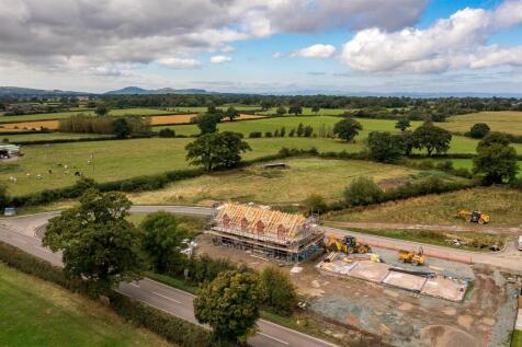 DJI_0646.jpg