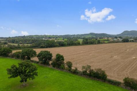 DJI_0198.jpg