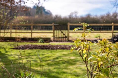 Rear garden Views