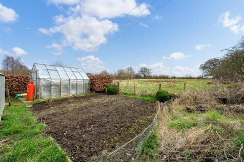 Vegetable Patch