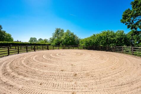 Lunge pen