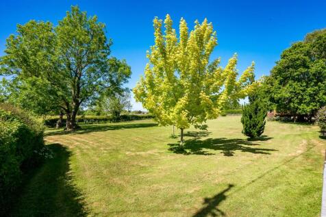 Front garden