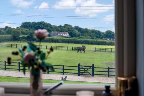 View from bedroom