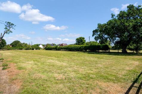 DSC_8117.jpg