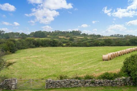 Paddock land