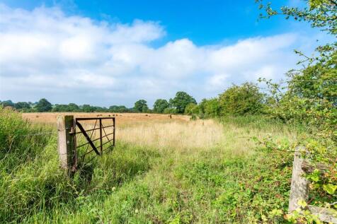 Paddock land