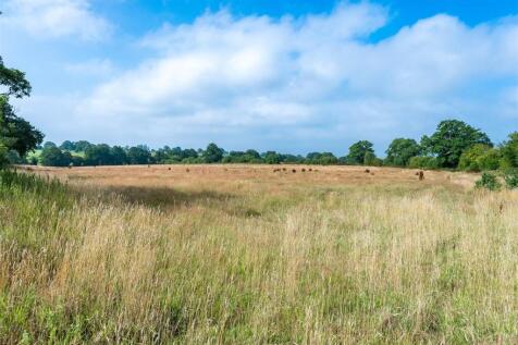 Paddock land