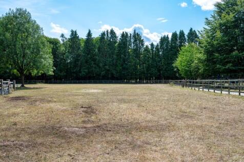 Paddocks 1.jpg