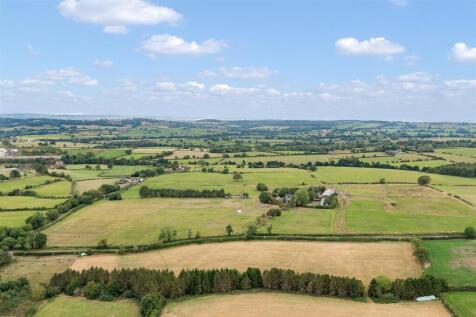 DJI_0382.jpg