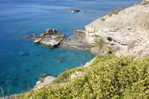 Swimming Gulf