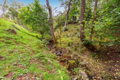 Stream