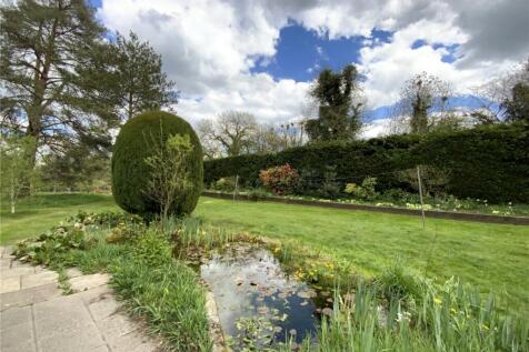 Pond