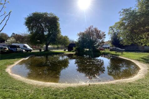 The Pond