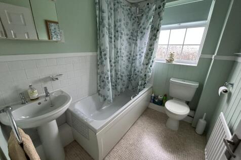 IMG 3539 T202502251518.jpeg