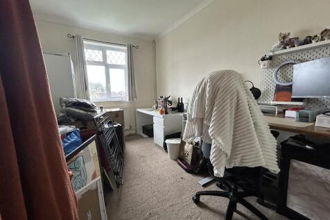 IMG 3972 T202503271418.jpeg