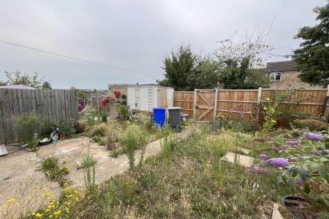 Garden T202508131542.jpeg