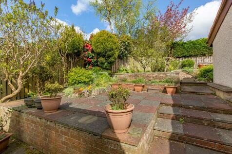 Back Garden