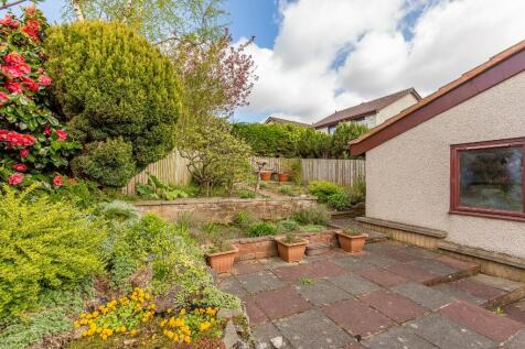 Back Garden 2 