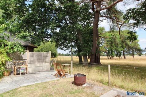 Rear Patio
