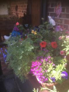garden 2.jpg