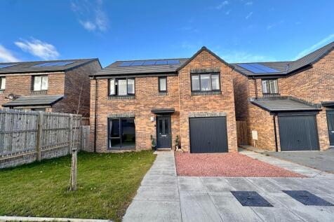 Property Image 39