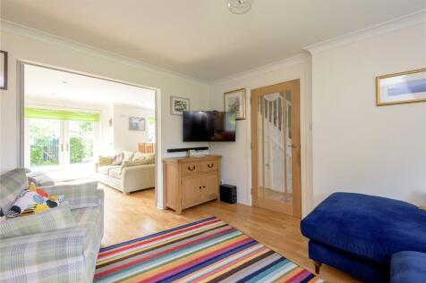 Sycamore Avenue 3