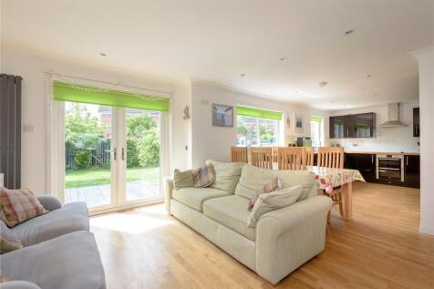 Sycamore Avenue 4