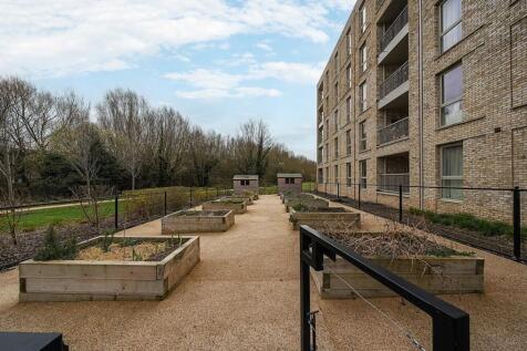 Communcal Garden