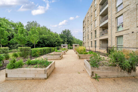 Communal Garden