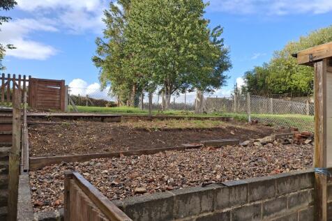 Back Garden 