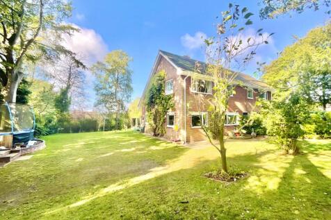 Property Image 26