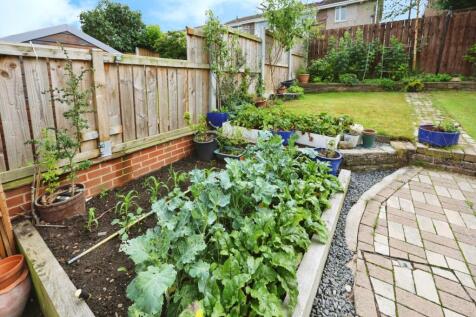pbox-garden-312205.JPG