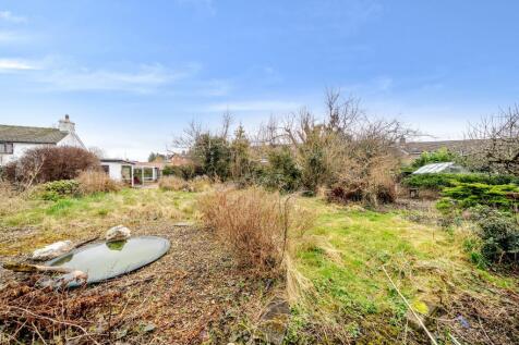Photos