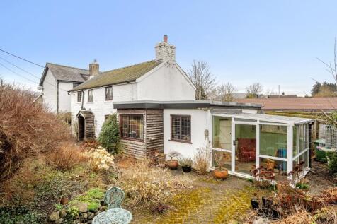 Photos