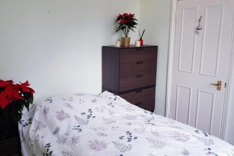 20201210_155719.jpg